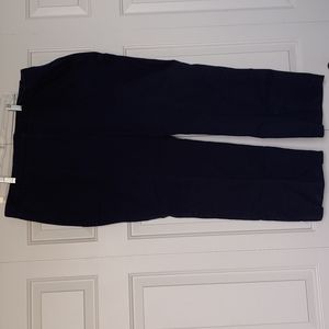 Talbots Woman Petites Classic Fit Stretch Dress Pants, Navy Blue, Size 22W